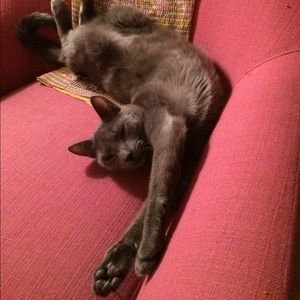 Meet your Posher, Kennedy